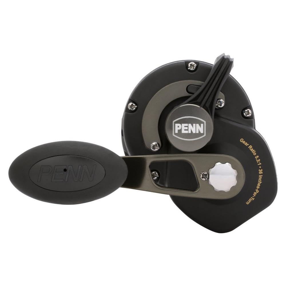 Amazon | PENN Squall II Lever Drag Fishing Reel, Size 30, Graphite
